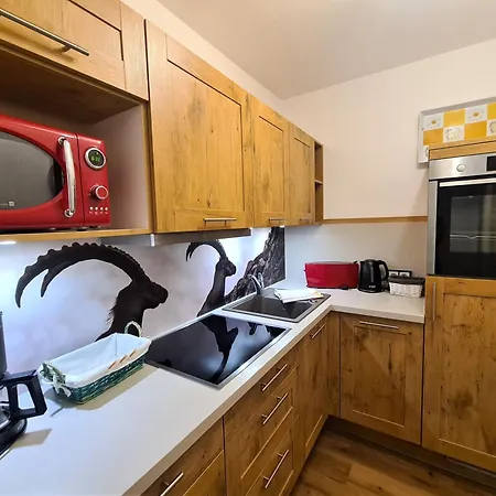 Montana Haus, A14, A17, B4 Oder C8 Apartment Oberstdorf