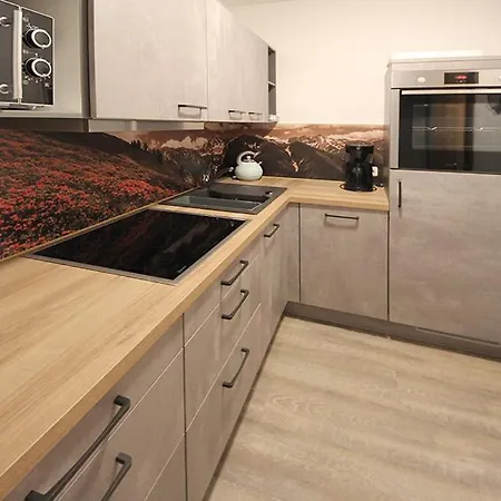 Montana Haus, A14, A17, B4 Oder C8 Apartment Oberstdorf