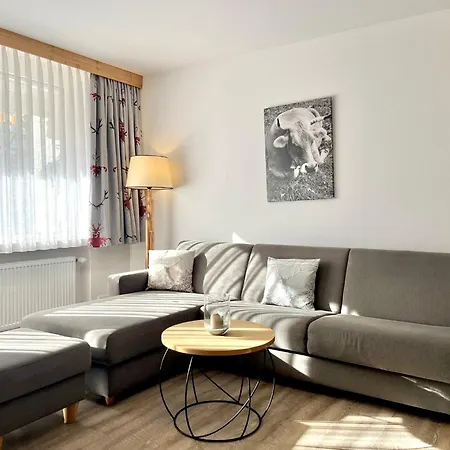 Apartmán Montana Haus, A14, A17, B4 Oder C8 *